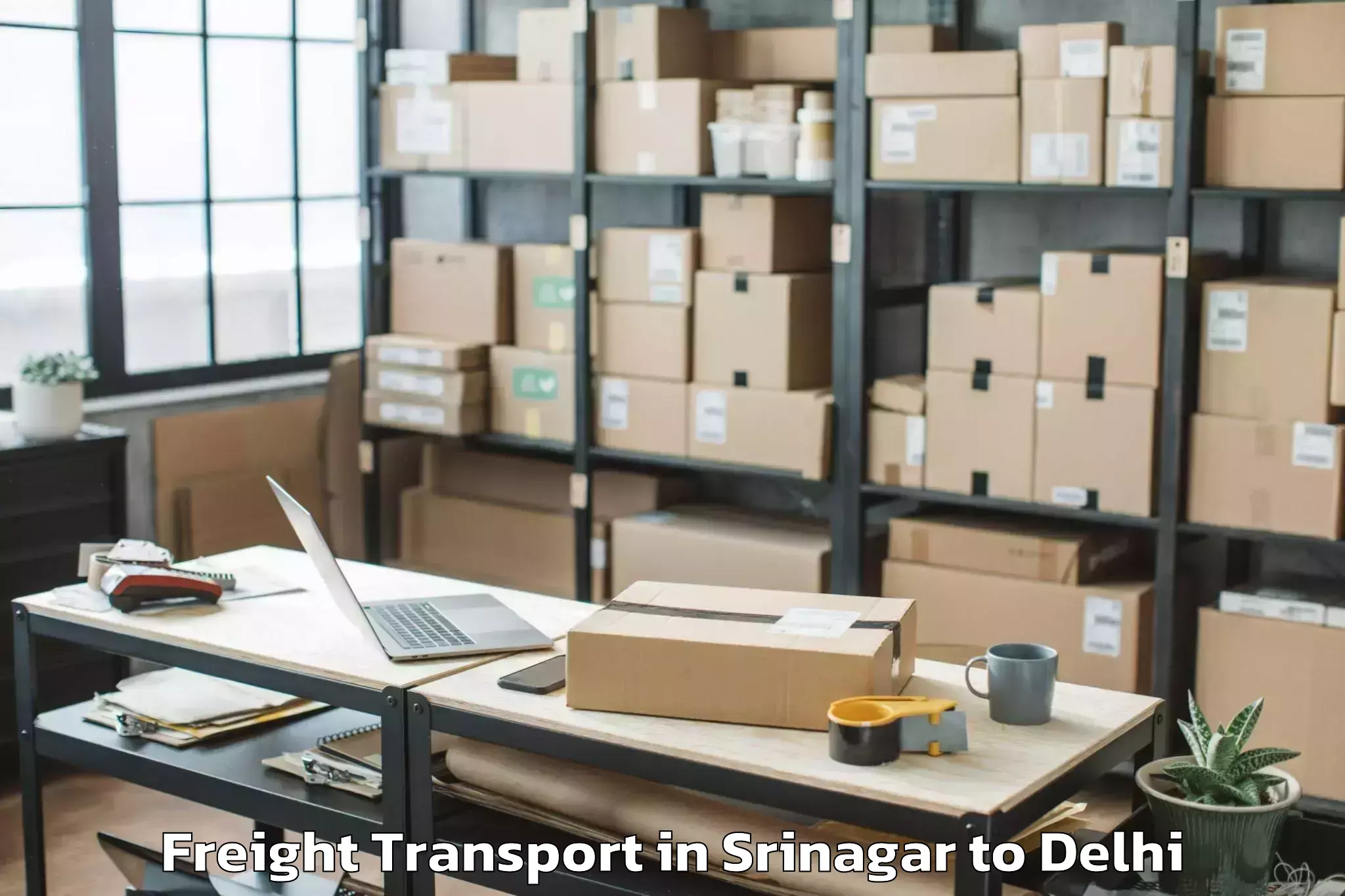 Expert Srinagar to Preet Vihar Freight Transport